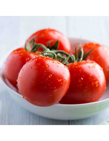 Tomato Frito Sauce Orlando, 400g Tin