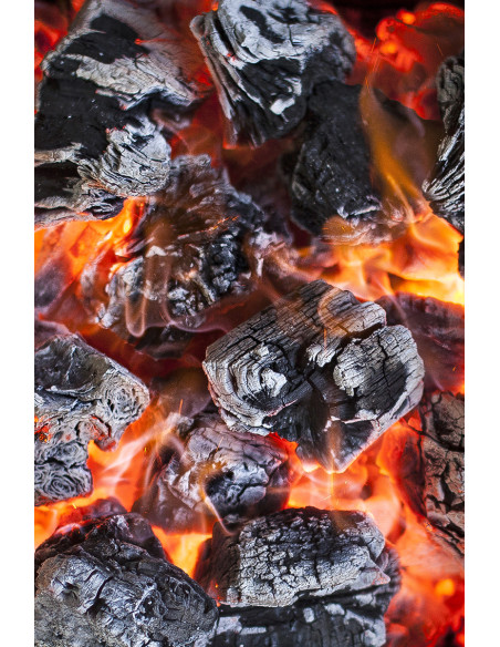 Premium Holm Oak Charcoal -  9.5kg