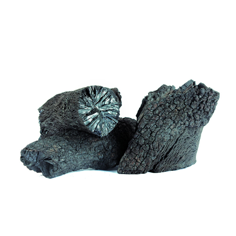 Premium Holm Oak Charcoal