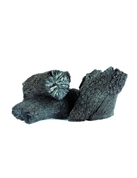 Premium Holm Oak Charcoal