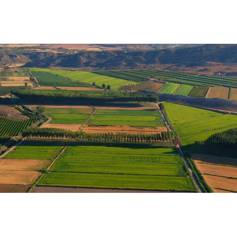 Arroz Brazal, Maratelli round grain rice 5kg