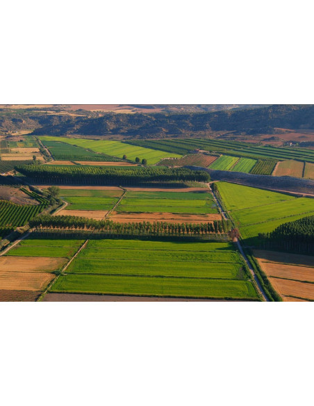 Arroz Brazal, Maratelli round grain rice 5kg